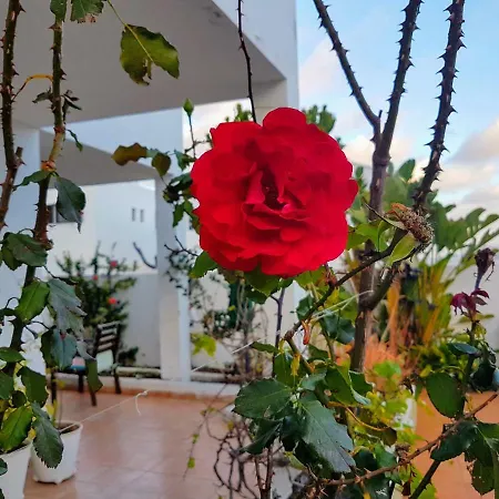 Chelada 2 Casa vacanze *