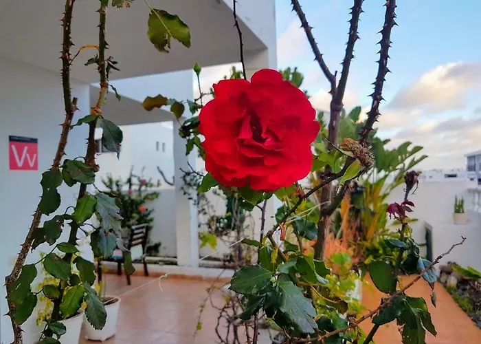 Chelada 2 Ferienhaus *